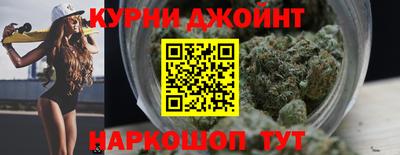 гидра Будённовск