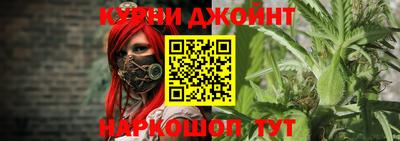 гидра Будённовск