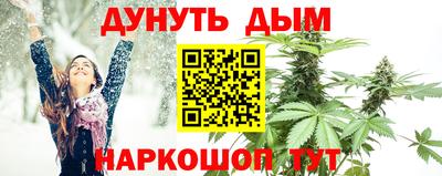 гидра Будённовск